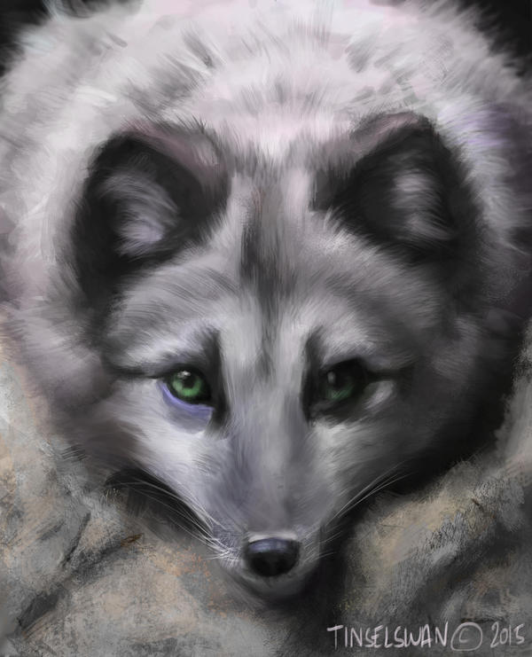 Arctic Fox by tinselswan