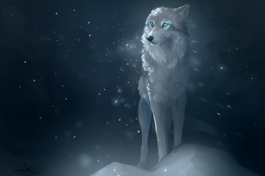 Image result for white wolf art