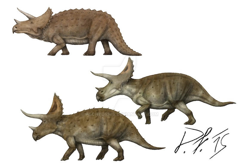 triceratops_over_the_centuries_by_pachyornis-d960xsq.jpg