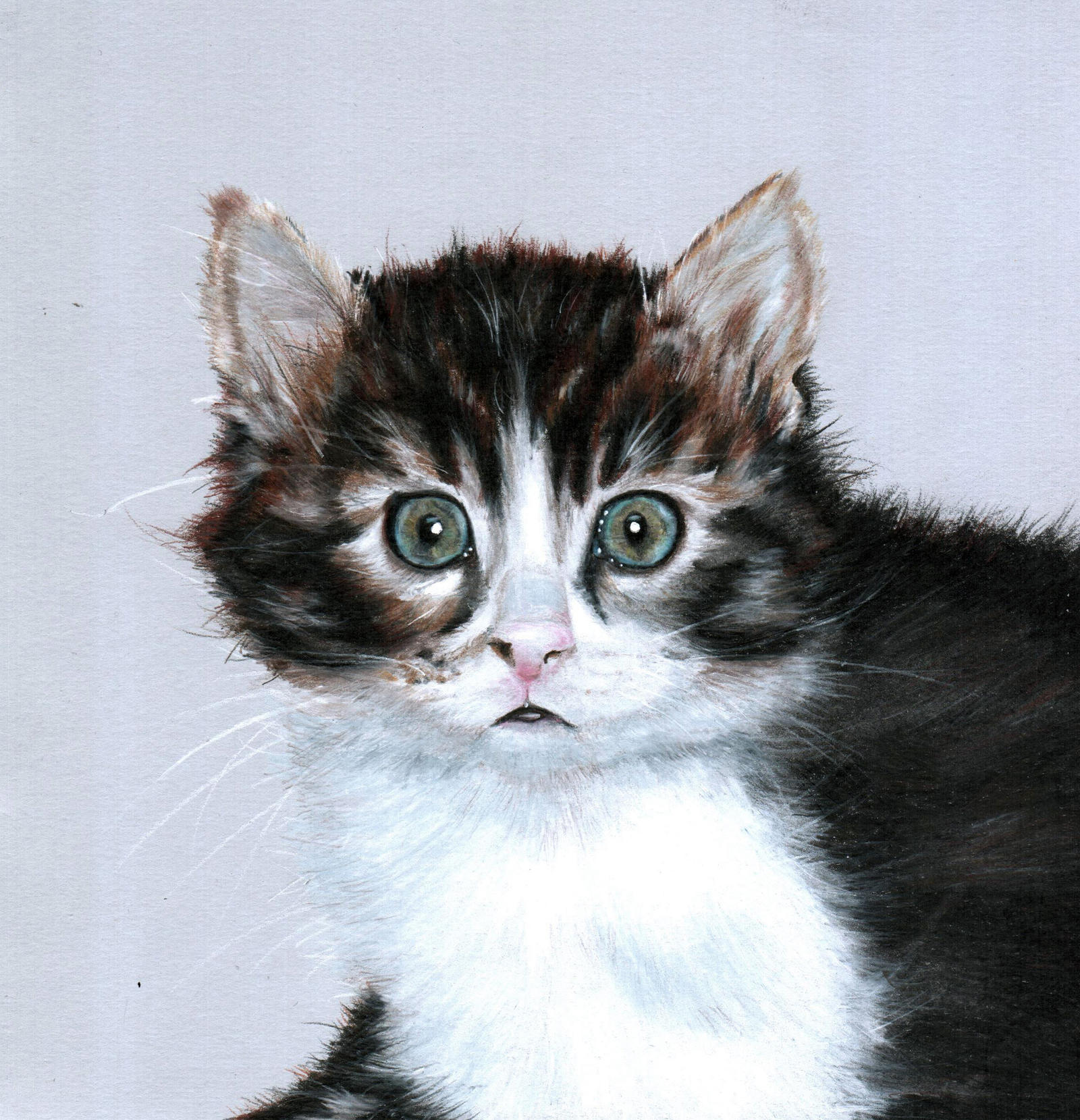 Cat realistic drawing by DMartIT on DeviantArt