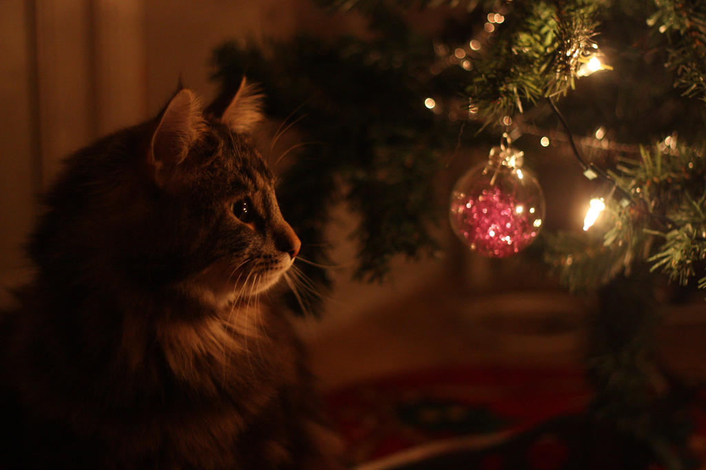 christmas_cat_by_whatskunk.jpg