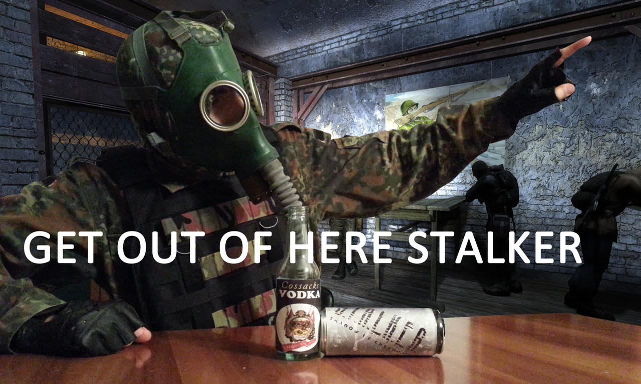 get_out_of_here_stalker__meme__by_drjoru