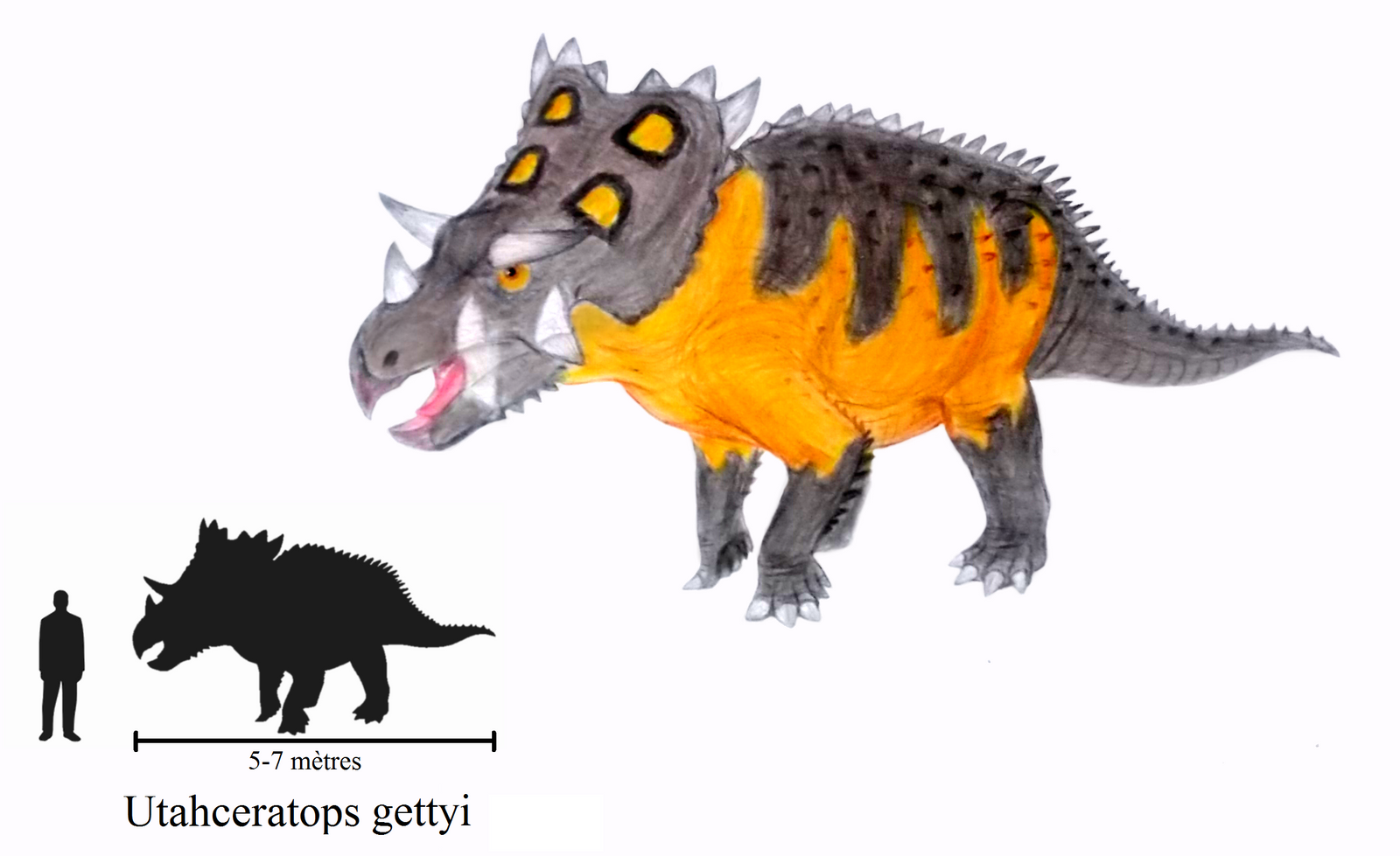 utahceratops_a_la_bastiodon_by_zewqt-d7xwzwi.png