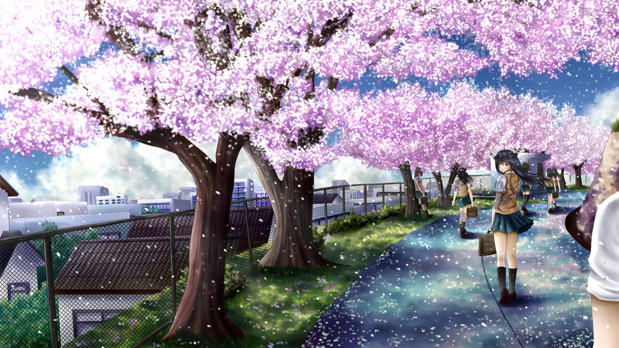 Cherry blossom path by ilolamai