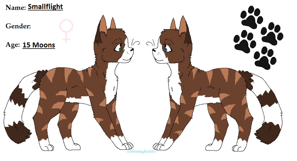 My New Warrior Cats Character Reference Sheet by Flippy23pc3 on DeviantArt