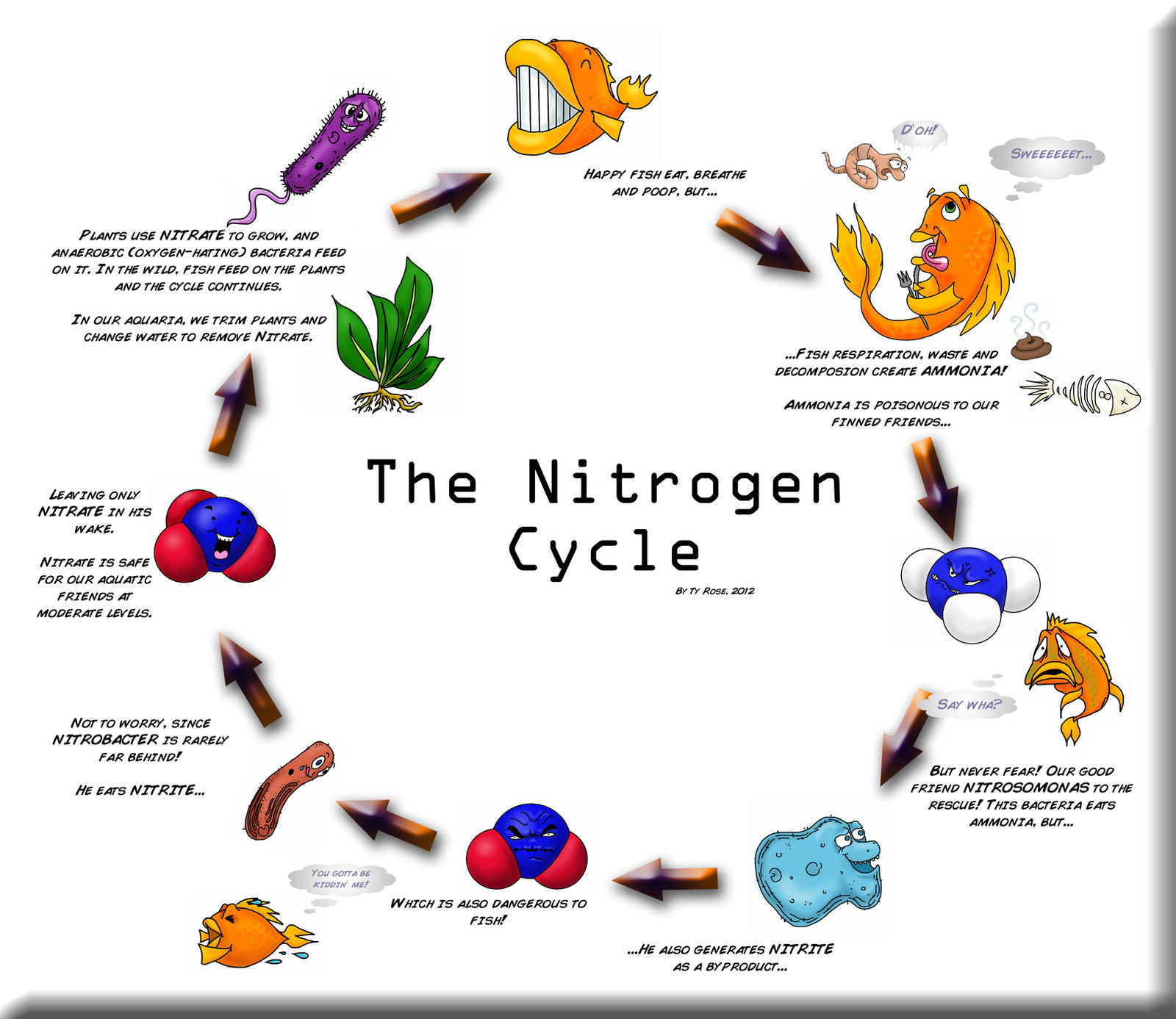 The Nitrogen Cycle by QuinapalusTheFool on DeviantArt