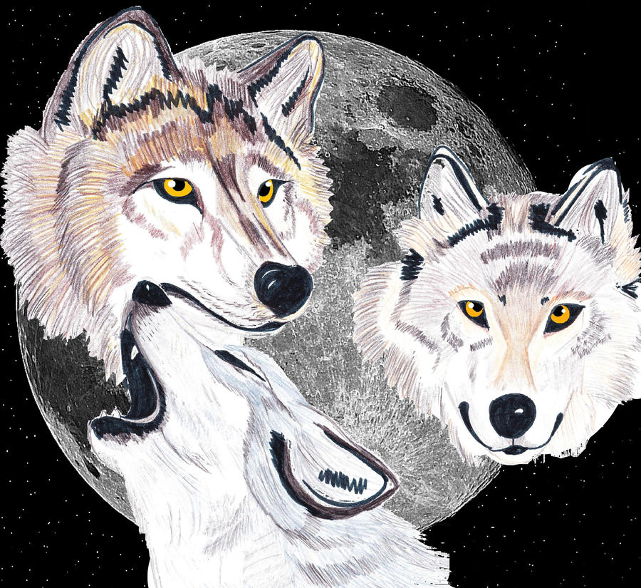Three Wolves with Moon by Dark-Crescent-Moon on DeviantArt
